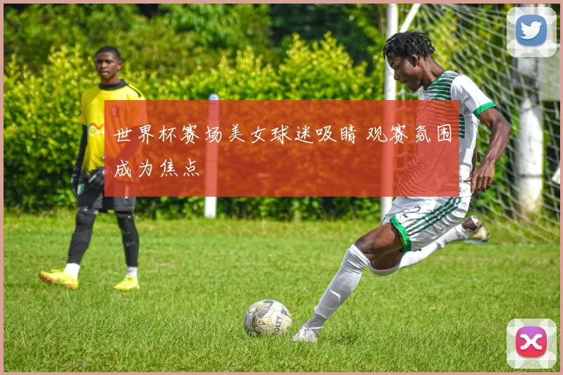 世界杯赛场美女球迷吸睛 观赛氛围成为焦点