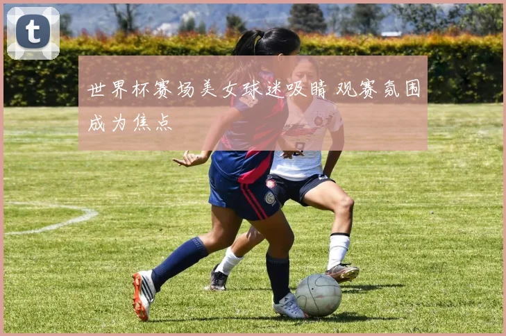 世界杯赛场美女球迷吸睛 观赛氛围成为焦点