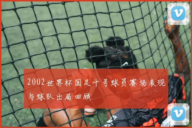 2002世界杯国足十号球员赛场表现与球队出局回顾