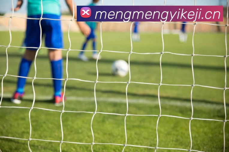 开云手机站登录入口 - 开云online(中国)服务体系